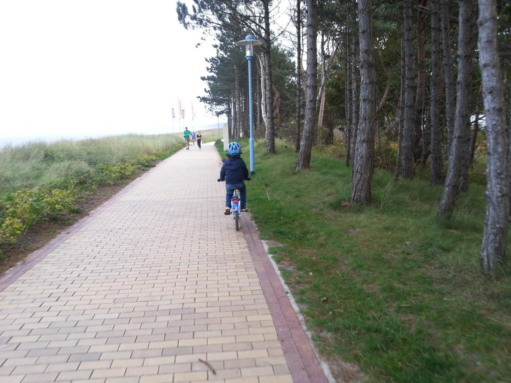 Ferienwohnungen Ruegen Findling 브리게 외부 사진